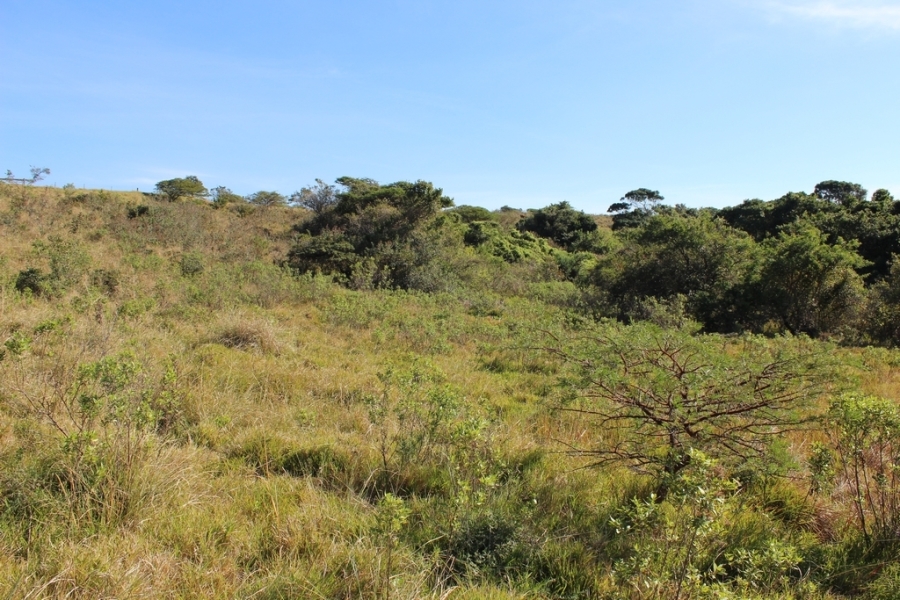 0 Bedroom Property for Sale in Khamanga Bay Eastern Cape